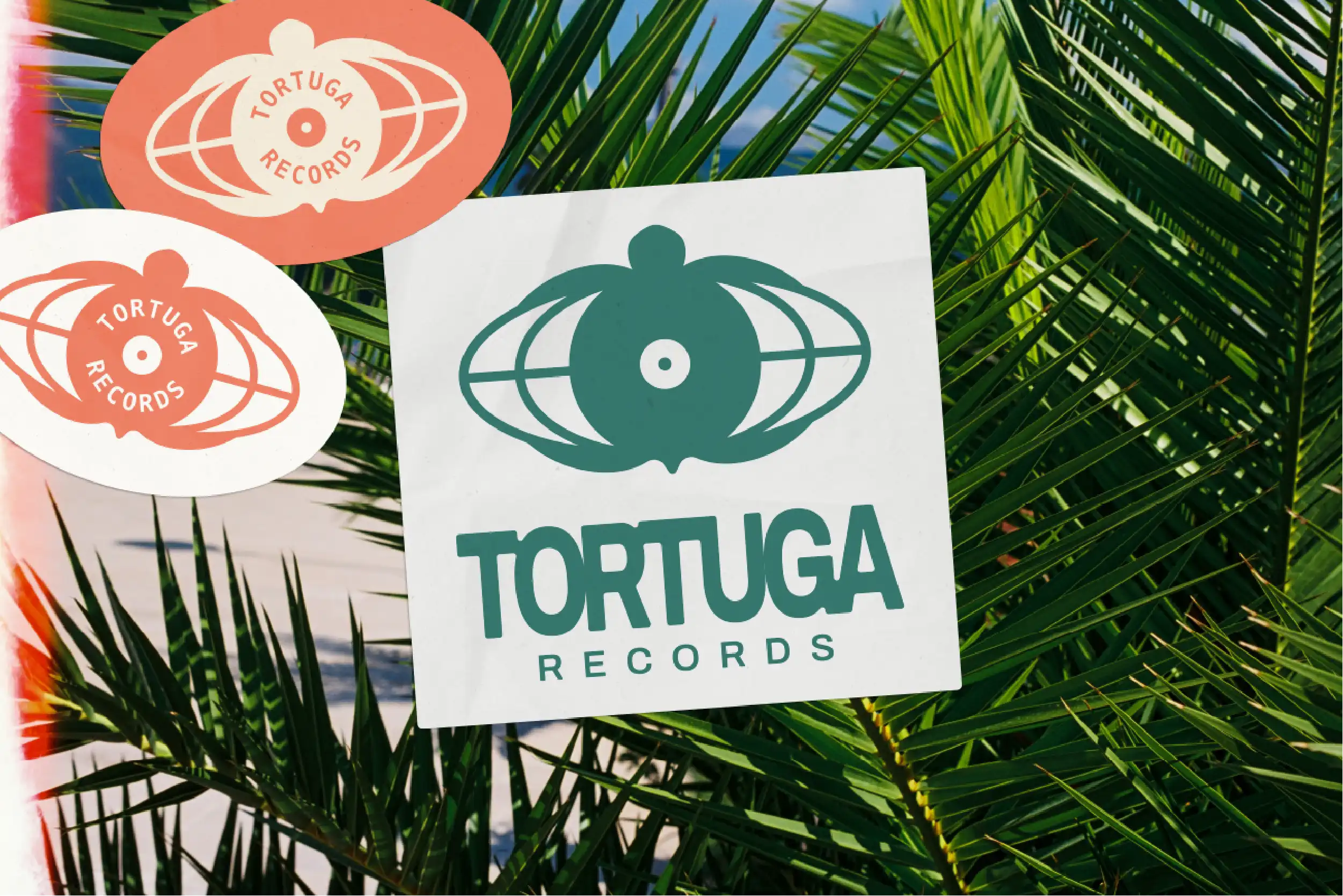 Tortuga logo stickers on palm leaves
